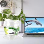 1 Gallon PET Aquaponic Fish Tank, Fish Bowl Aquaponic Betta Fish Tank Clear Aquarium for Betta Fish Reptiles Succulents Flower Vase Betta Fish Centerpiece Present for Home Office Desktop Decors