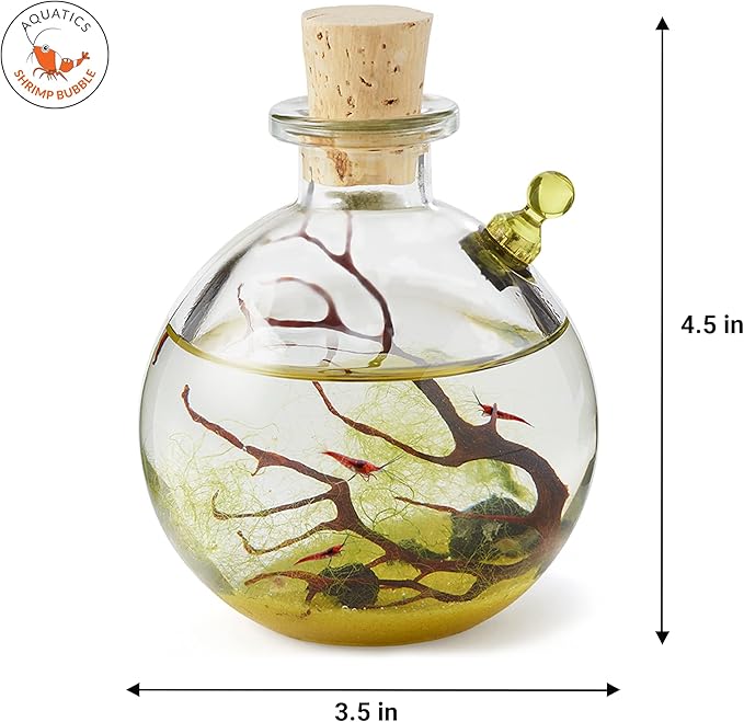 Shrimp Bubble Self-Sustaining Ecosystem - Natural. Contains Live Opae Ula Shrimp