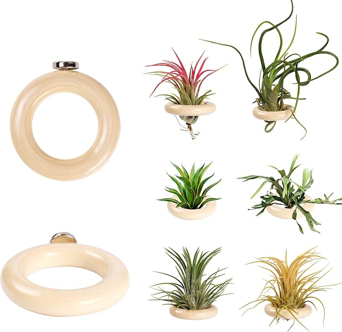 6 Pack Air Plant Holder Magnet Wooden Air Plant Display Stand Small Hanging Planter Wall Mount Holder for Live Tropical Tillandsia Fridge & Home Office Decoration Plants Not Included (6, Natural Wood)