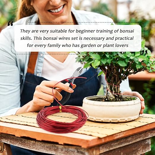 4 Roll Bonsai Wire,with Hand Plier Aluminum Bonsais Training Wire Anodized Aluminum Bonsai Wire Tools for Fine Trunk & Branch Control(Size:5 Roll)