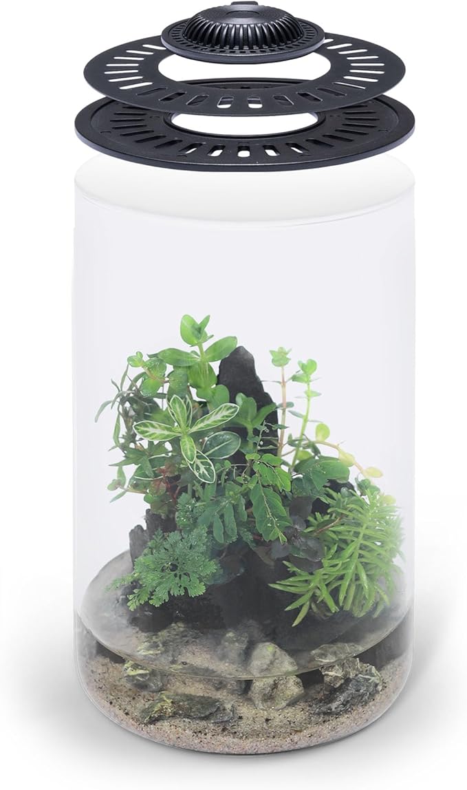 SubstrateSource Bio Cylinder - Glass Plant Terrarium Kit - Glass Terrarium w/LED Grow Light, Adjustable Ventilation Lid, Substrate, Moss & Accent Rocks - Bio Cylinder 200