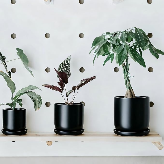 Ceramic Plant Saucer Pot Tray 6, 8, 10 Inch Black, Planter Saucers for Indoors Outdoor, Durable Sturdy Flower Drainage drip Water Tray for Glazed Pots Base