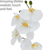 Mikasa Artificial Orchid in Pot, Real Touch Phalaenopsis Orchid, Cream Glaze Ceramic Pot, 16-Inch Single Branch, White/Yellow