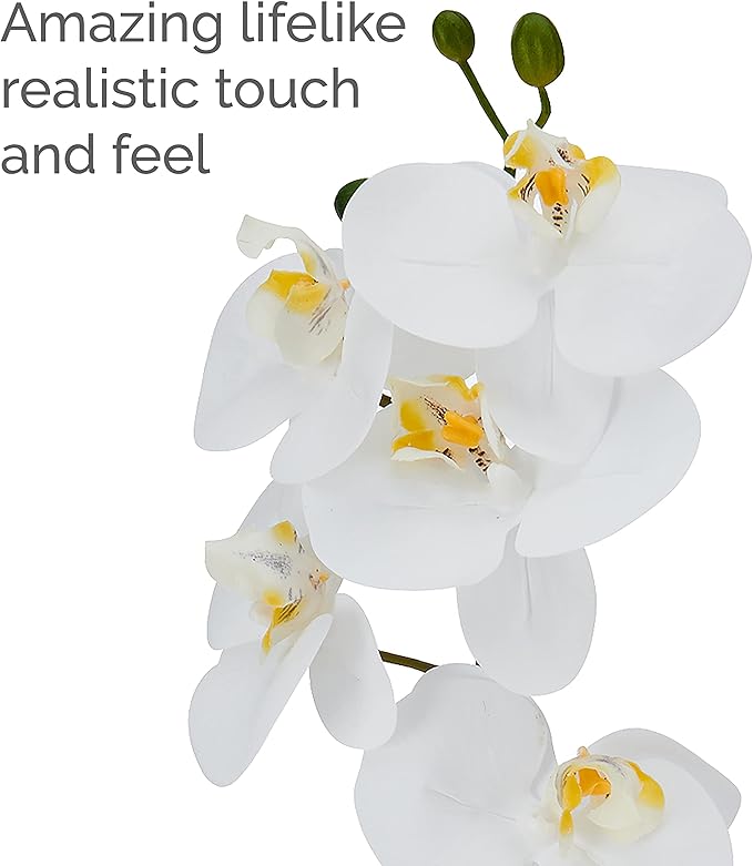 Mikasa Artificial Orchid in Pot, Real Touch Phalaenopsis Orchid, Cream Glaze Ceramic Pot, 16-Inch Single Branch, White/Yellow