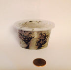 Live Java Moss