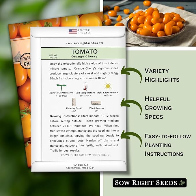 Sow Right Seeds - Orange Cherry Tomato Seeds for Planting - Non-GMO Heirloom Packet with Instructions to Plant & Grow an Outdoor Home Vegetable Garden - High Yield Salad Tomato - Great Gift (1)