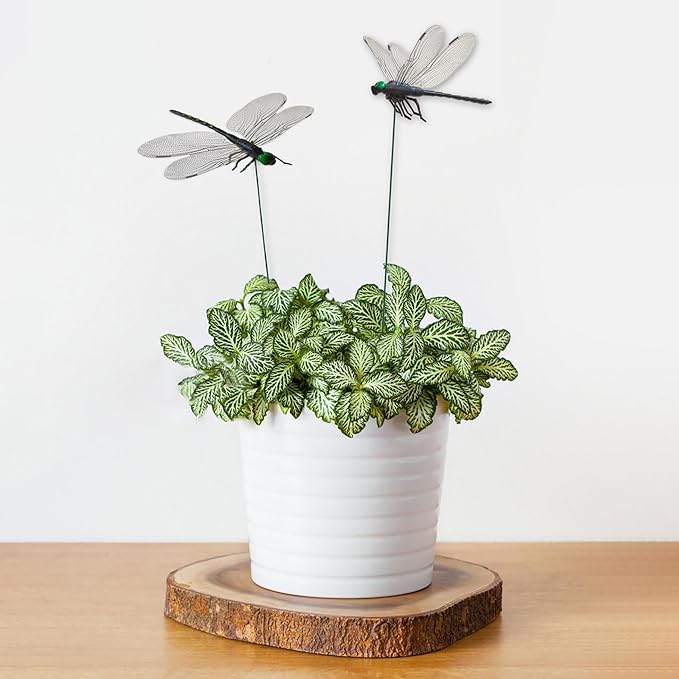 10 Pcs Dragonfly Decorative Stakes, Lifelike 3D Big Dragonflies PVC Dragon Fly Garden Stake for Indoor Outdoor Yard Balcony Plant Flower Pot Decor (Black)