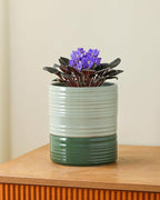 Fayoula Self Watering Pots for Indoor Plants, 6 Inch Ceramic Self Watering Plant Pot, Planter Pot with Wick Rope and Drainage Hole for African Violet Succulent Herbs (Green Light)