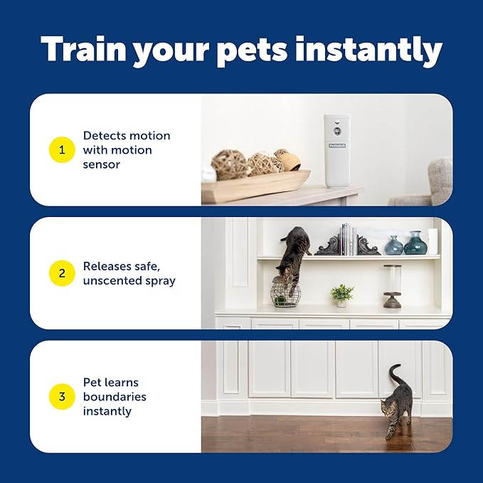 PetSafe SSSCAT Refill Can for Motion Activated Automatic Spray Pet Deterrent for Cats and Dogs