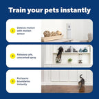 PetSafe SSSCAT Refill Can for Motion Activated Automatic Spray Pet Deterrent for Cats and Dogs