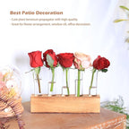 KAXYEW Plant Propagation Station, Plants Propagation Tubes, Gifts for Plant Lovers, Plants Cutting Holder Test Tube Vase Office Desk Garden Décor Gift for Her Mom Women Hydroponic Vase New Gift Box