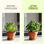 Herb Plant Food – Liquid Fertilizer for All Edible Herbs, Supports Faster Growth, Lush Leaves & Better Flavor, 1 Gallon