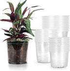 RAOOKIF 30 Pack 5/6/7 Inch Reinforced Clear Nursery Pots with Drainage Holes, Nursery Pots for Plants Variety Pack, Transparent Plastic Plant Pots for Seedlings, Seed Starters