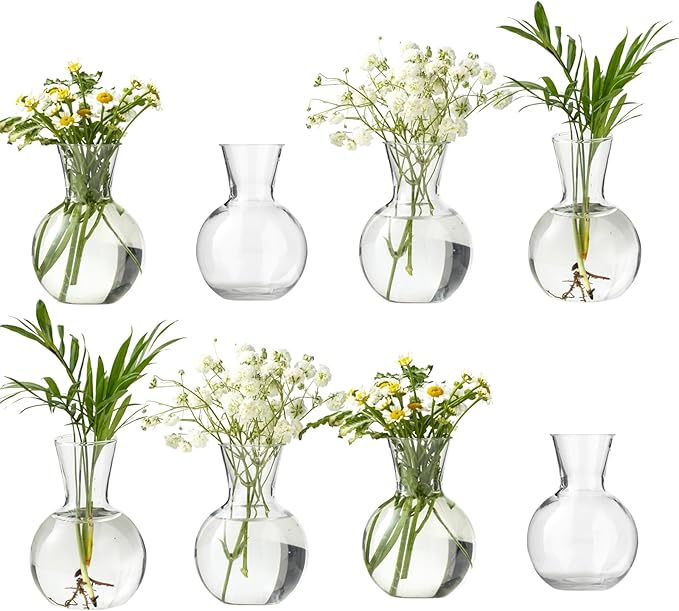 Plastic Propagation Vases (8 Bulbs),Desktop Plant Terrarium for Indoor Plants - Hydroponics Containers for Home Office Desk Decor, mini Gardening Gifts for Women Who Love Plants (8PCS)