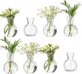 Plastic Propagation Vases (8 Bulbs),Desktop Plant Terrarium for Indoor Plants - Hydroponics Containers for Home Office Desk Decor, mini Gardening Gifts for Women Who Love Plants (8PCS)
