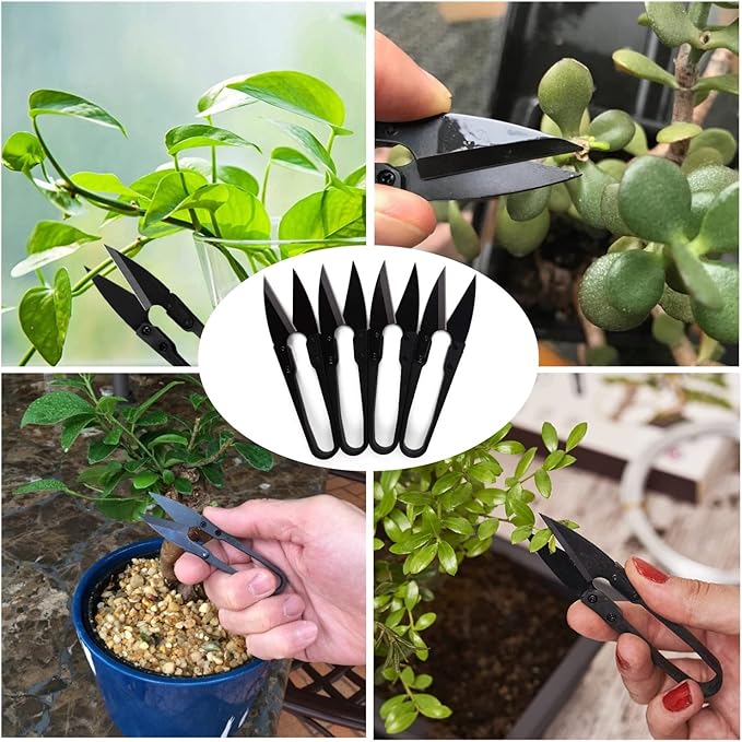 JINJIAN Bonsai Pruning Scissors 6 PCS - Small Pruner Shears Bud Leaves Trimmer Garden Shears for Plants, Gardening Clippers for Flower Bonsai Trimming Pruners