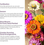 Zinnia Seeds Mix, 1 Oz, Over 3,000 Flowers Seeds, 5 Varieties (Pink, Yellow, Orange, White, Purple), Mixed Colors and Large Blooms,Open Pollinated - Bulk