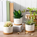 Sieral 6pcs Mothers Day Christian Gift Bible Verse Succulent Pots 3 x 3 x 2 Inch Mini Ceramic Succulent Planters with Bamboo Tray Small Plant Pots Gift for Church Women, Plants Not Included (Bright)