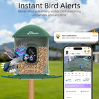 Smart Bird Feeder with 4MP HD Camera, Birdwatching Camera with Free AI Identify Birds & Solar Panel for Outdoors, Auto Video Capture & Instant Notifications,for Dad Granpa Birdlovers,Green