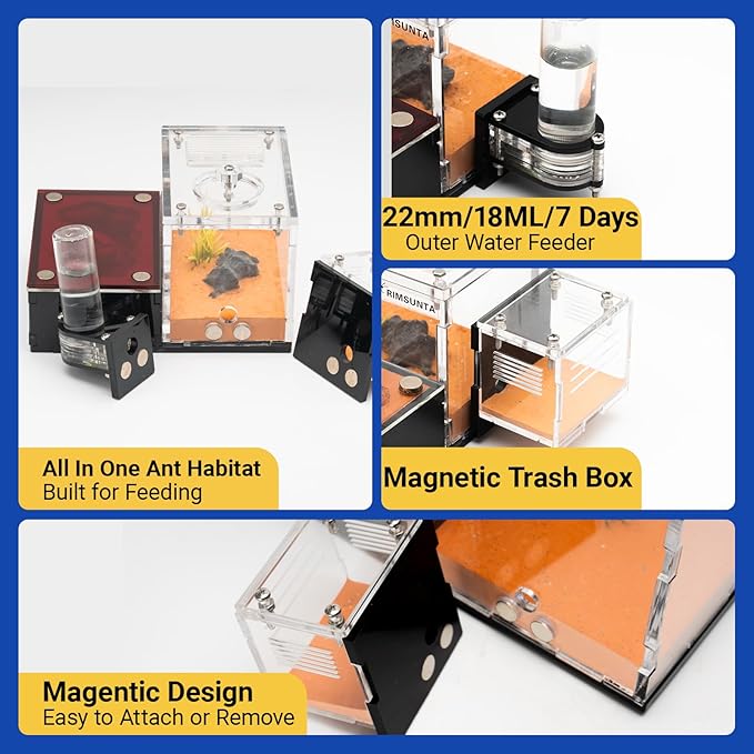 Formicarium - Ant Farm Habitat for Live Ants & Queen, Adult Educational Kit for Ant Behavior Study and Learning