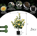Hananona 2 Pcs Artificial Camellia Trees Faux Camellia Plant in Pot with Flowers Indoor Plants for Spring Home Decor Outdoor Porch Front Door Decor (Yellow, M)