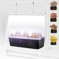 Meonum Mushroom Growing Light Stand, LED Mushroom Grow Light Dual Spectrum 6000K 5000K, 2ft White Blue Grow Lamp, for 10-50 Most Quart Monotub, Easy Assembly, Energy Efficient, Optimal for Cultivation