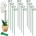 Unves 12 Pack Plant Stakes, 15.75 Inch Green Single Stem Flower Garden Plant Support with 100 Pcs Twist Ties, Plants Cage Support Rings for Amaryllis Orchid Peony Rose