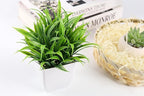 Der Rose 2 Pack Small Fake Plants Mini Artificial Potted Plants for Table Desk Home Bathroom Office Decor