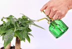 Glass Plant Mister - 6.5" Green Glass Water Spray Bottle with Gold Top Pump, Small Plant Sprayer for Indoor/Outdoor House Plants