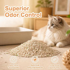 Tofu Cat Litter – Natural Plant-Based & Flushable Unscented Kitty Litter, Low Dust & Low Tracking, Superior Odor Control, Ideal for Multi-Cat Homes, Creamy Scented, 11 lb (5.5lbx2bags)
