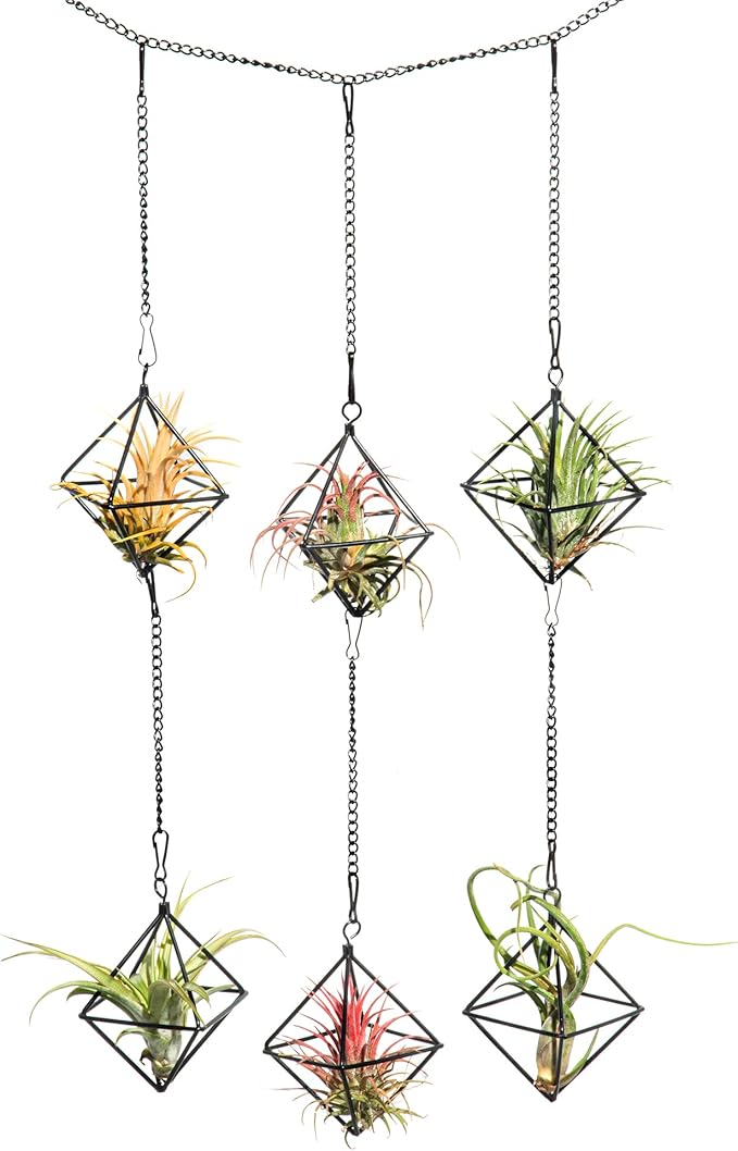 Small Air Plants Holders Black Hanging Airplants Hangers Iron Wire Airferns Display Frame Geometric Tillandsia Air Planter with Chains for Wall Mounted Himmeli Decor 6pcs(No Plants)