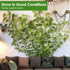Plant Clips-Plant Climbing Wall Fixture Clips 110PCS, Invisible Clips For Climbing Plants，Self-Adhesive plant wall clips For Plant Support, Sticky Plant Fixture Clips Plant Holder For Pothos