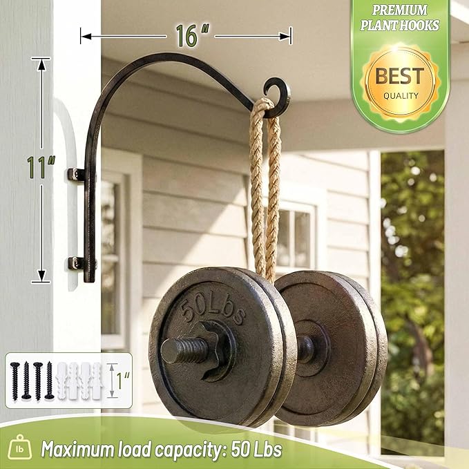 Lifyzoon Heavy Duty Hanging Plant Bracket: 50lbs Weight Capacity - Bird Feeder Hangers 2 Packs, 12-Inch Black Metal Plant Bracket Wall Hook for Birdhouse, Wind Chimes, Lanterns, Easy to Install