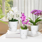 Vanslogreen Orchid Pots with Holes, 6 Inch Self Watering Orchid Pot 2 Pack Plastic Plant Pots for Orchid, Flower (White)