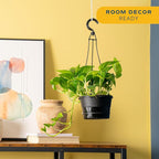 Costa Farms Golden Pothos Live Plant in Hanging Grower Pot, Easy-Care, Air Purifying Indoor Houseplant, Home, Room, or Office Decor, Great House Warming or Birthday Gift, 8-10 Inches Tall