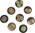 Plants for Pets Safe Non-Toxic Living Stones Succulents (8PK) XL Real Giant Lithops, Live Succulent Plants for Cats & Dogs, 2.5" Pots, Pet Friendly Houseplants, Unique Houseplant for Home or Office