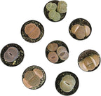 Plants for Pets Safe Non-Toxic Living Stones Succulents (8PK) XL Real Giant Lithops, Live Succulent Plants for Cats & Dogs, 2.5" Pots, Pet Friendly Houseplants, Unique Houseplant for Home or Office