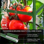 WLLEYAY 3 Pack Tomato Cages, Square Tomato Plant Stakes Support Cages Trellis, 50 * 17 * 17in Heavy Duty Steel Plant Tower Stakes Cucumber Trellis for Garden Climbing Vegetables Flowers Fruits, Bold