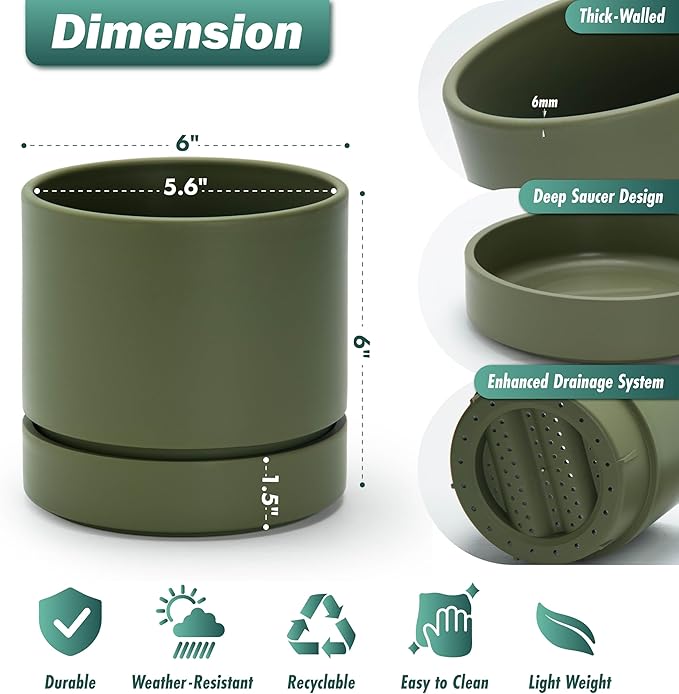 Phoenix Vine 6 Inch Planter Pot with Drainage Hole & Saucer, Deep Water Catch Tray, Straight Cylindrical Round Pot for Plants, Olive, Pack of 4, 23-F-S-4
