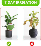 4PCS Plant Watering Globes, Large Terracotta Automatic Watering Stake Devices with Wooden Stopper for Pots, Planters, Indoor, Outdoor