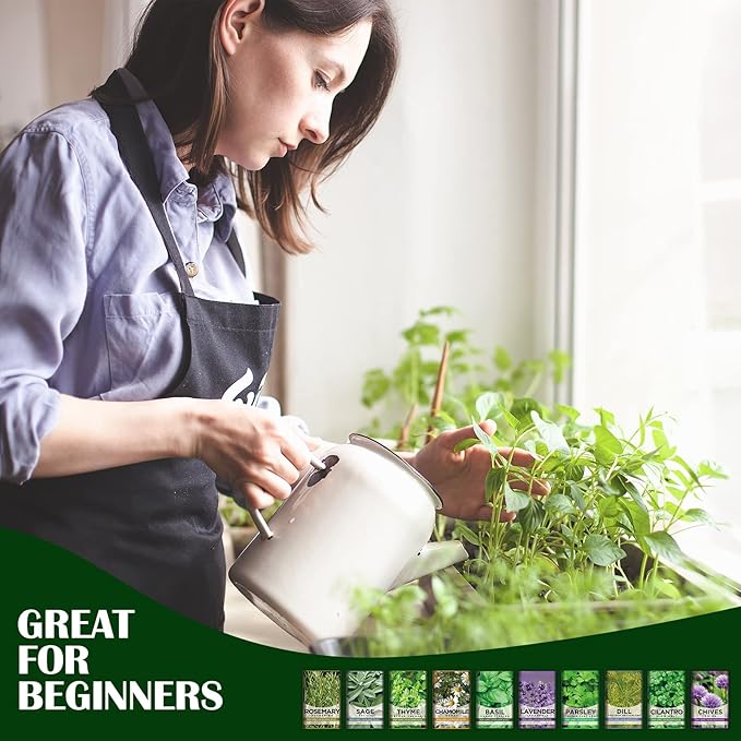 Meekear 10 Kit Non-GMO Growing into Thyme, Lavender, Chamomile, Dill, Chives, Cilantro, Rosemary, Basil, Parsley, Sage Indoor/Outdoor for Kitchen Windowsill Gardening Gift