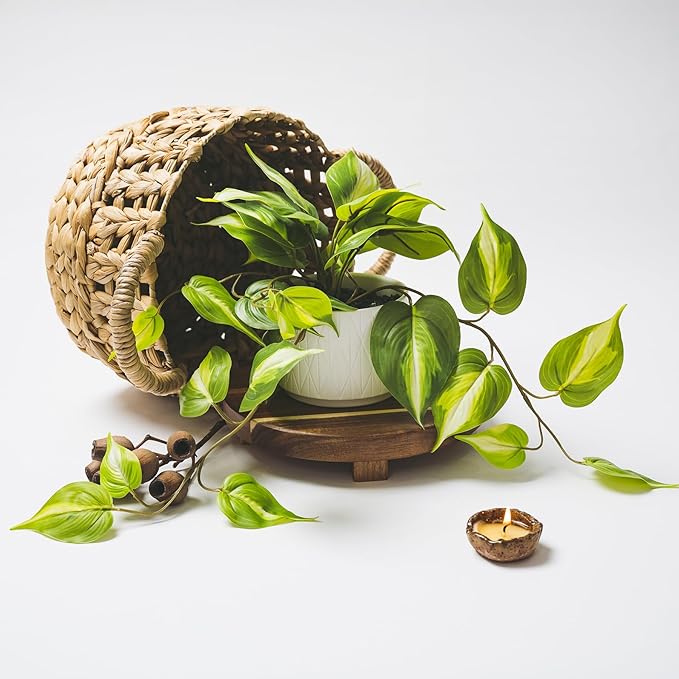 Kurrajong Farmhouse Light Green Fake pothos Plant | Fake Plant for Shelf Decor | Artificial Trailing Ivy Plant with 5" Wide Ceramic Pot | Faux pothos | Feaux Pothos