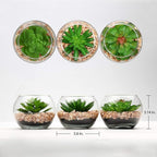 Briful Mini Fake Plants 3 Packs Artificial Succulents Plants in Round Glass Vase Cute Faux Succulents for Bathroom Kitchens Shelf Table Decor