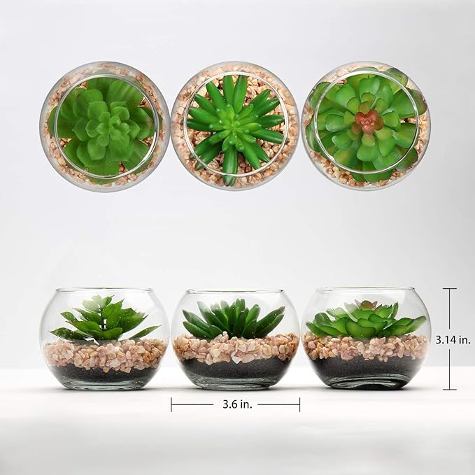 Briful Mini Fake Plants 3 Packs Artificial Succulents Plants in Round Glass Vase Cute Faux Succulents for Bathroom Kitchens Shelf Table Decor