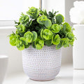 Artificial Plants in Ceramic Planter Cute Lysimachia Fake Succulent Flowers Potted for Home Office Table Desk Decor Living Room Bathroom Bedroom Shelves Decoration