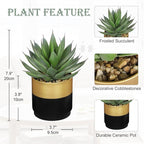 Briful Succulents Plants Artificial for Home Decor, Realistic Potted Fake Agave Plant, Gold Black Metal Pot, Cute Aloe Maguey Faux Plant, Shelves Tables Decor, Modern Farmhouse Kitchen Decorations