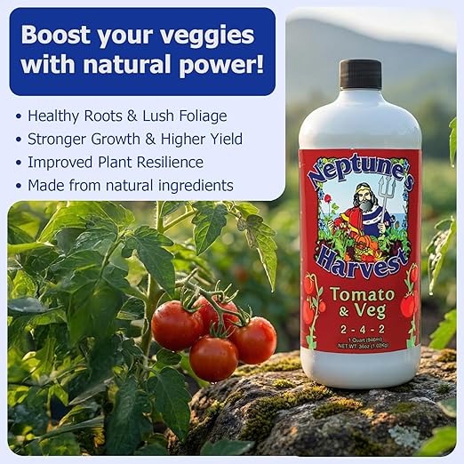 Neptune’s Harvest Organic Tomato & Vegetable Plant Fertilizer (2-4-2) - Liquid Plant Food w/Fresh Fish, Seaweed, Molasses, Yucca Extract, & Humic Acids - for Vegetable Garden (Quart (2 Pack))