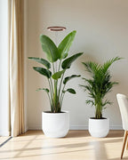 yadoker Plant Grow Light, LED Growing Light Full Spectrum for Indoor Plants,Aluminum Walnut Wood Grain Plant Lights,Height Adjustable, Automatic Timer, 5V Low Safe Voltage,Idea for Large