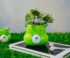 Silver Buffalo Care Bears Good Luck Bear 5-Inch Sculpted Ceramic Mini Planter with Artificial Succulent | Cute Flower Pot, Faux Indoor Plants