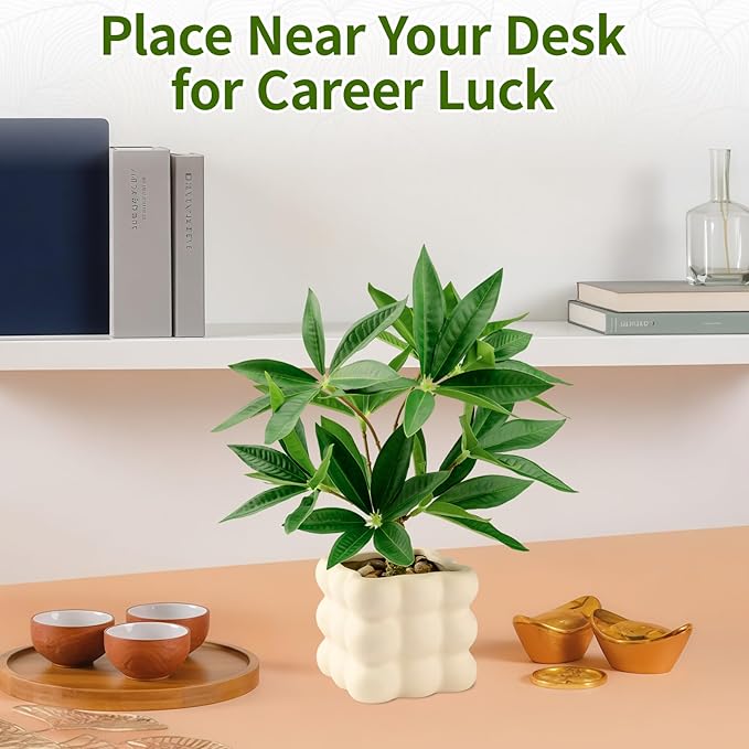 Small Money Tree Bonsai 10 inch Artificial Desk Plant in White Ceramic Pot, Realistic Indoor Faux Potted Pachira Money Plant for Home Office Living Room Decor(Maintenance Free)